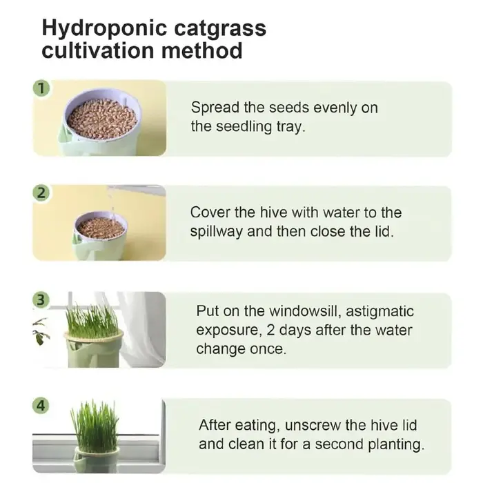Boîte de plantation d'herbe à chat hydroponique réutilisable