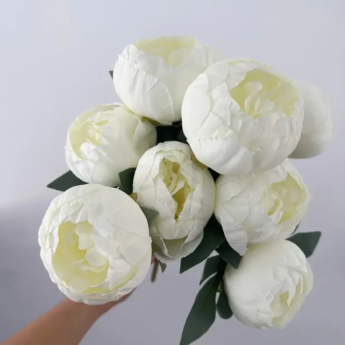 Pivoine blanche avec boutons de fleurs