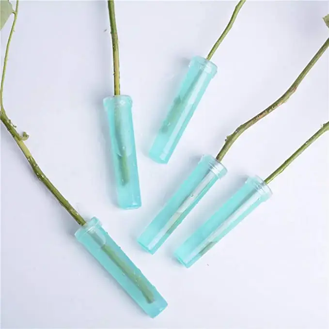 Tube de nutrition hydroponique avec couvercle pour plantes à fleurs