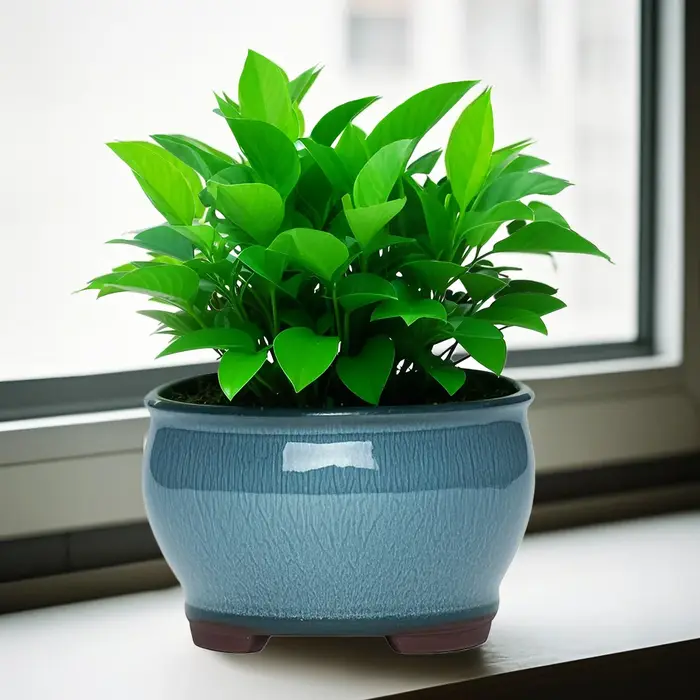 Pots de jardinières de jardin en céramique