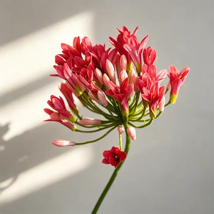 Fleurs artificielles Agapanthus de luxe de 75 cm