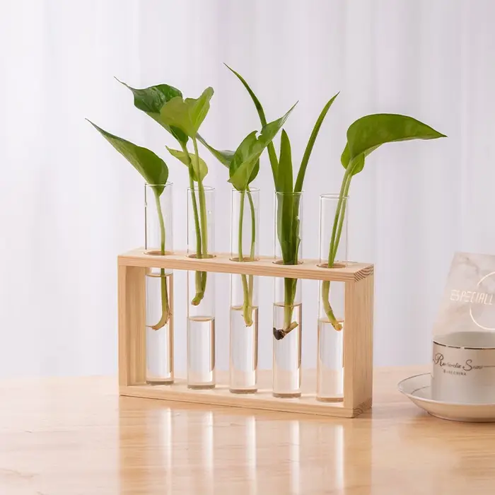 Conteneur de plantes hydroponiques avec cadre en bois