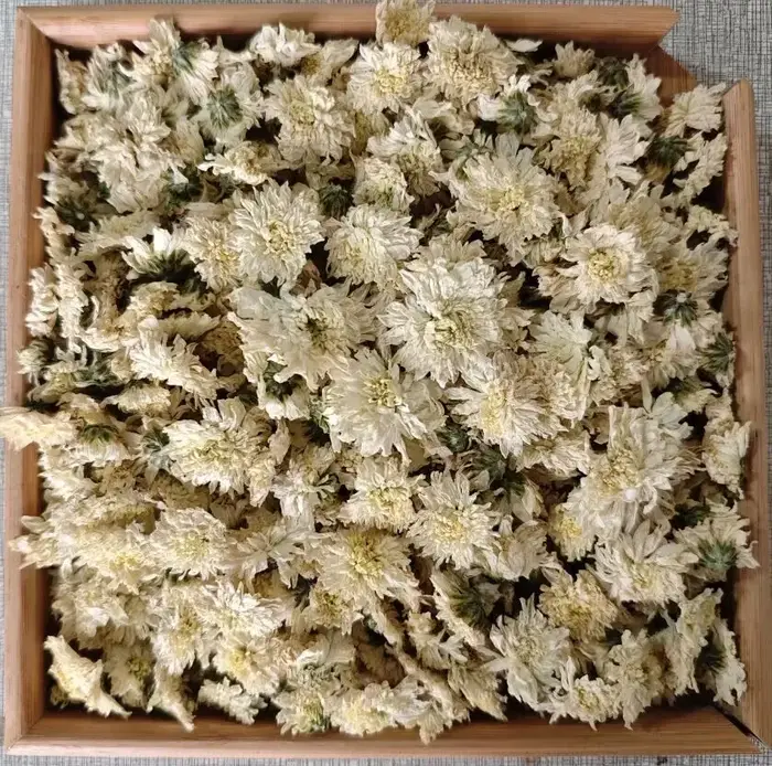 Fleurs Artificielles Décoratives Blanches : Chrysanthème et Camomille pour Vase, Ornement Maison, Mariage, Fête, Matière Première DIY
