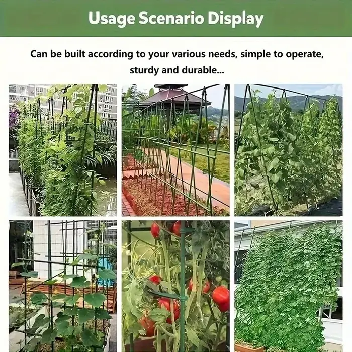 Nouvelles tiges de soutien pour plantes de tomates - robustes et durables