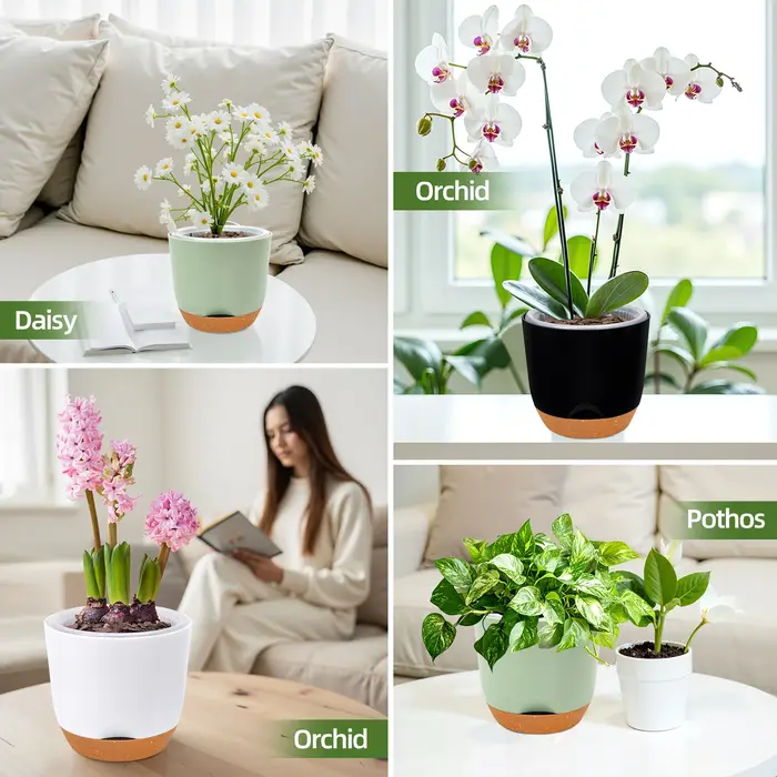 Pots à orchidées avec trous