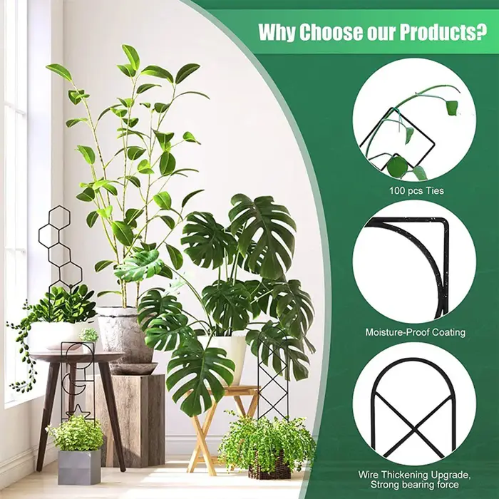 Support pour plantes grimpantes en treillis