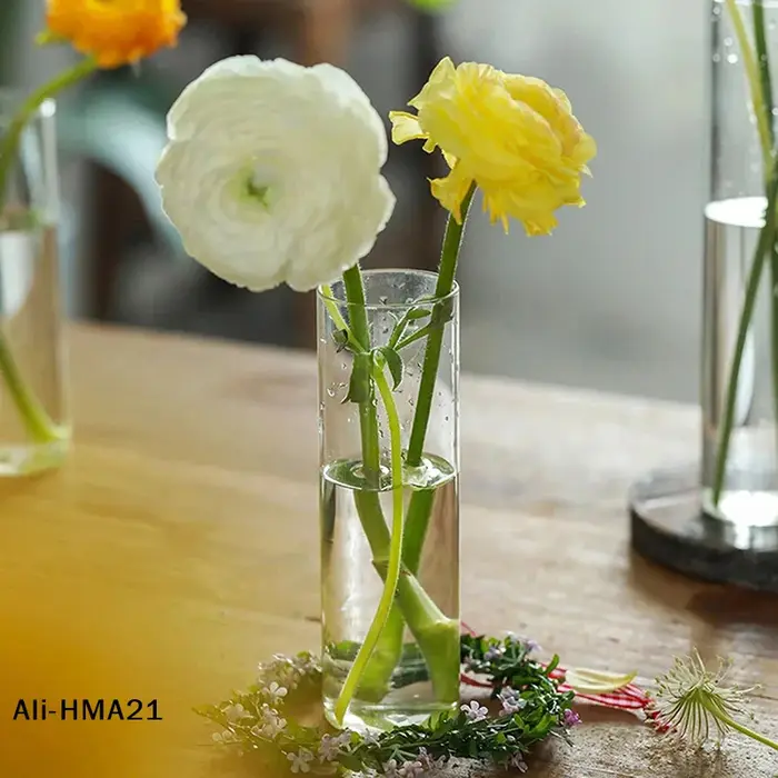 【H】Vase en verre pour plantes hydroponiques