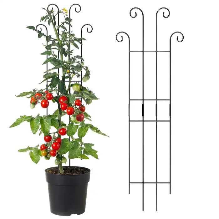 Treillis métallique pour plantes d'intérieur et d'extérieur