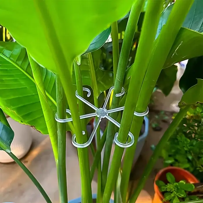 Piquets de Support de tige de plante de fleur