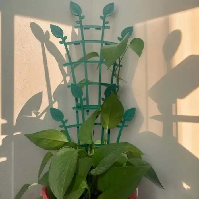 Treillis de plantes pour Pots 4X