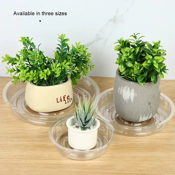 Soucoupe pour plantes de jardin