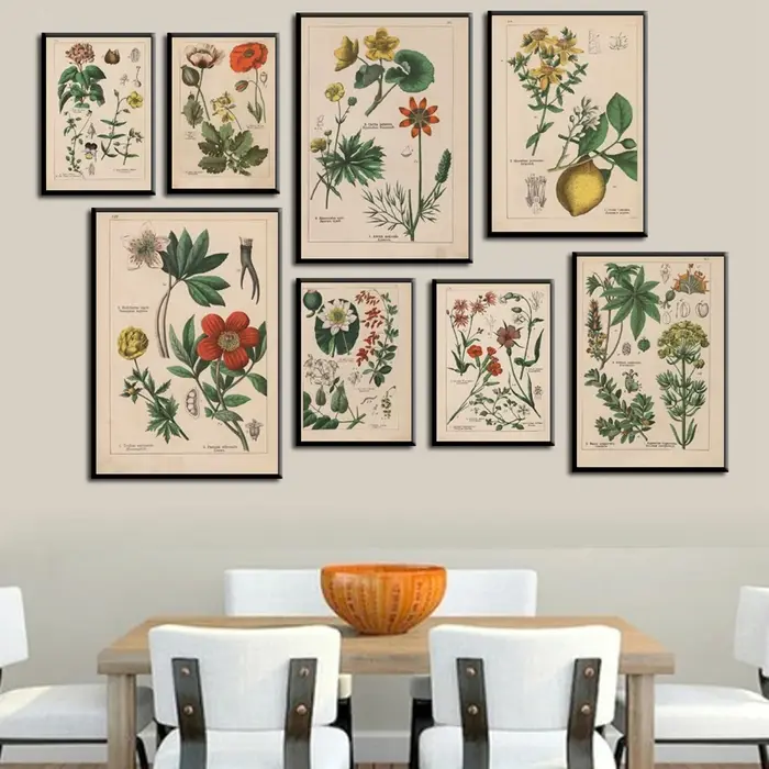Affiches et imprimés d'herbes botaniques Vintage