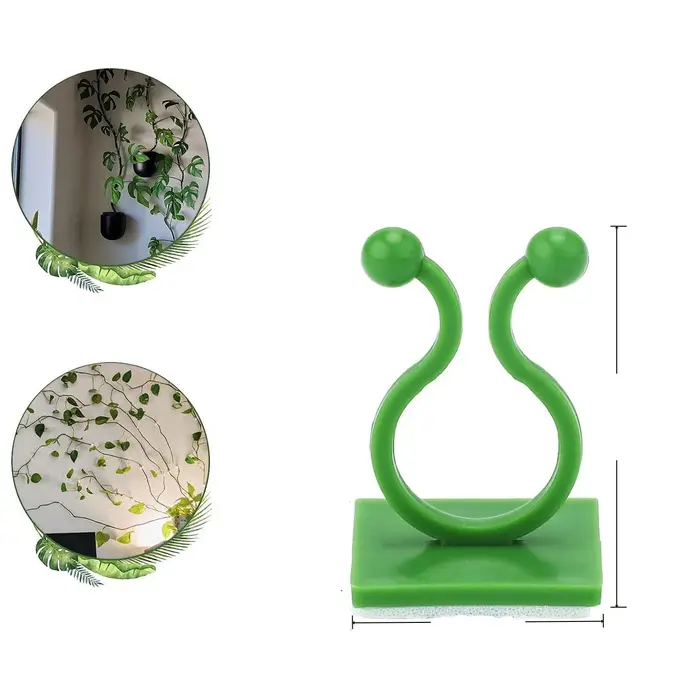 Clips muraux pour plantes grimpantes