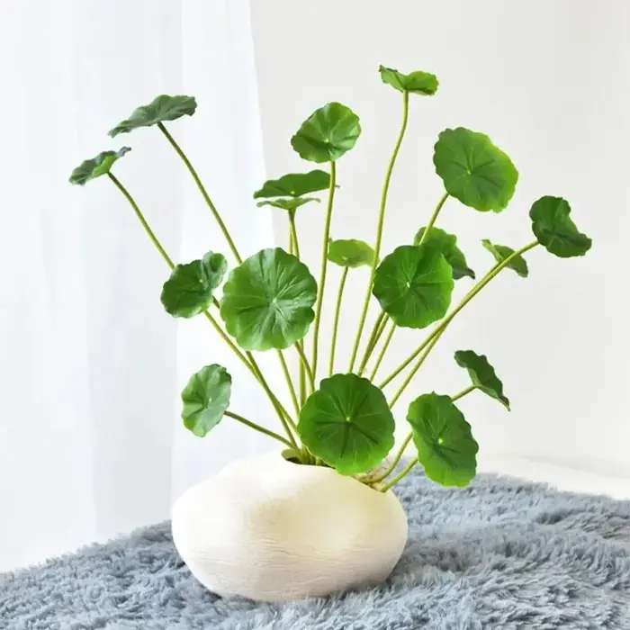 Plantes artificielles de Lotus