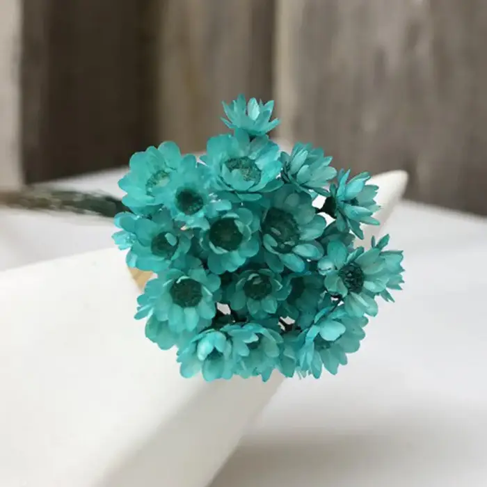 Fleurs séchées de gypsophile pour la décoration de mariage