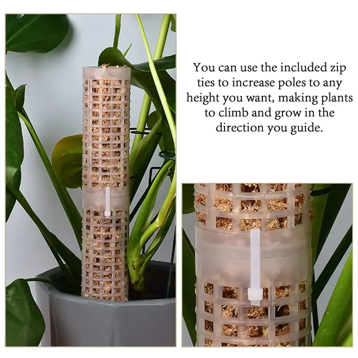 Colonne grimpante en plastique pour plantes