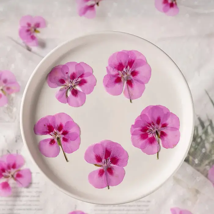 12 pièces, fleurs de géranium séchées et pressées