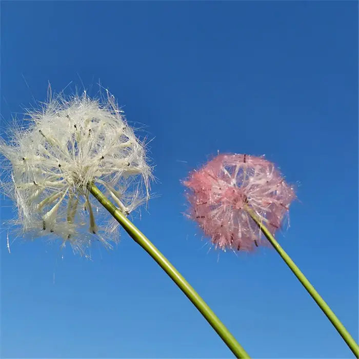 Fleur artificielle, pissenlit blanc