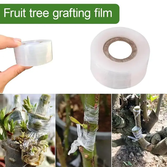 Ruban de greffage auto-adhésif extensible pour arbres fruitiers