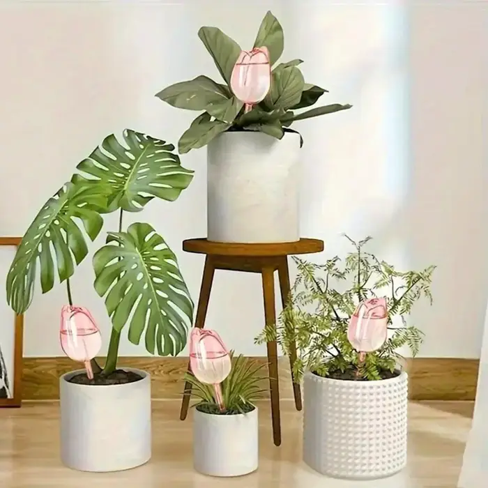 8 Globes d'arrosage automatiques pour plantes