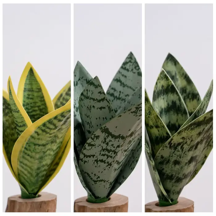 Plante serpent artificielle
