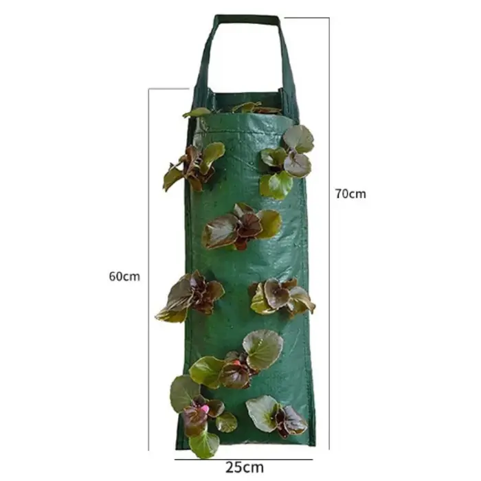 Nouveau sac de culture suspendu à 6 trous pour fraises, tomates, pommes de terre, légumes et fleurs