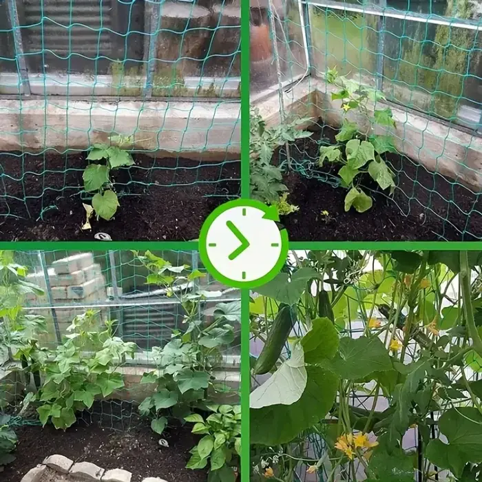 Pergolas pour plantes, filet de culture en polyester robuste