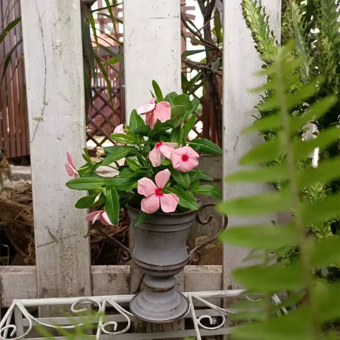 Pot de fleurs trophée à bouche ronde à double oreille