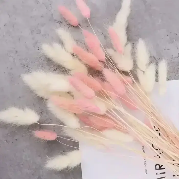 70 pièces de fleurs séchées naturelles mélangées : Herbe de queue de lapin, Pampas, Lagurus. Bouquet floral d'automne pour décoration de mariage, de maison et accessoires photo.