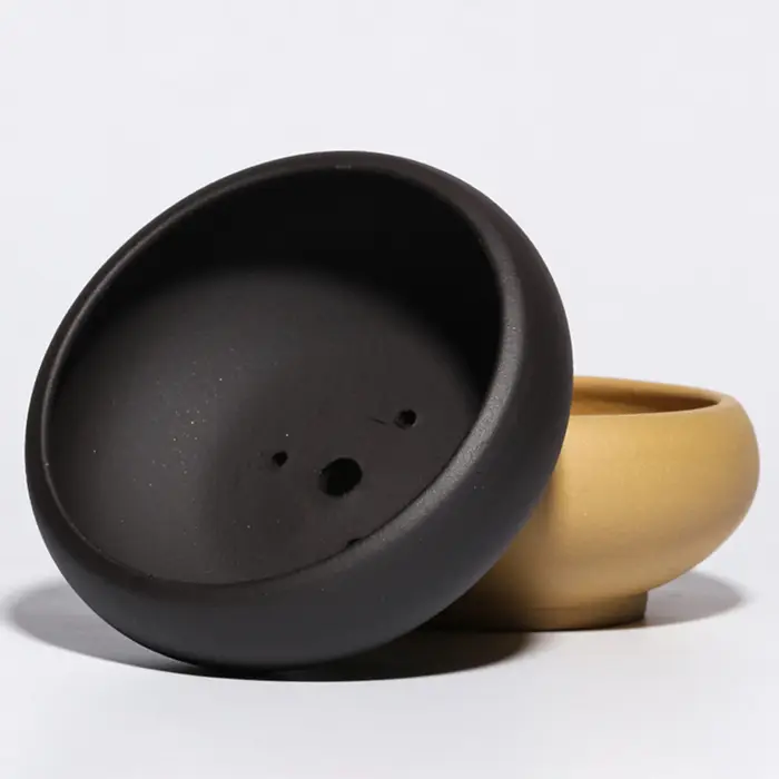 Pot de fleur succulente en céramique