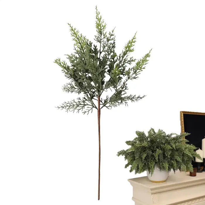 Branches de cèdre de noël