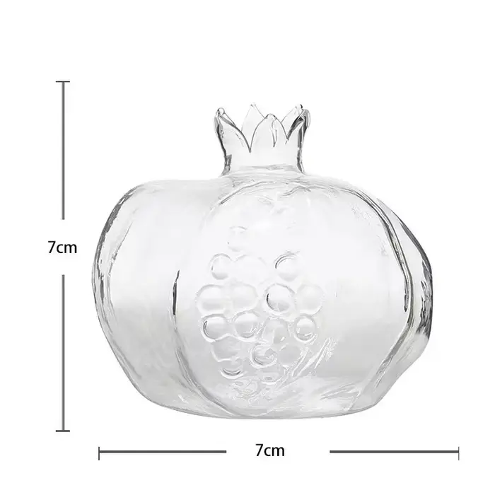 Vase à grenade créatif plante Terrarium hydroponique verre fleur séchée