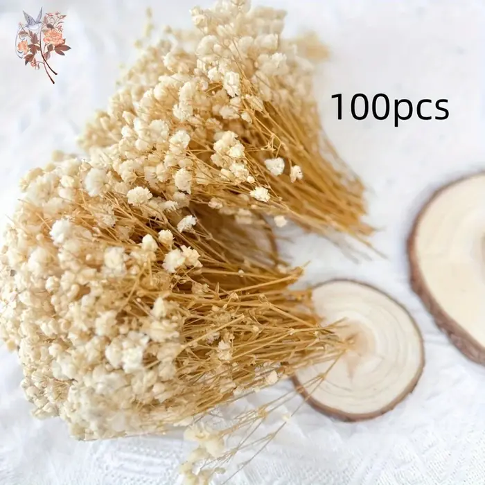 100 pièces Mini fleurs souffle de bébé séchées pour artisanat en résine bricolage décor de mariage à la maison vraie touche gypsophile petit paquet embellir cadeau