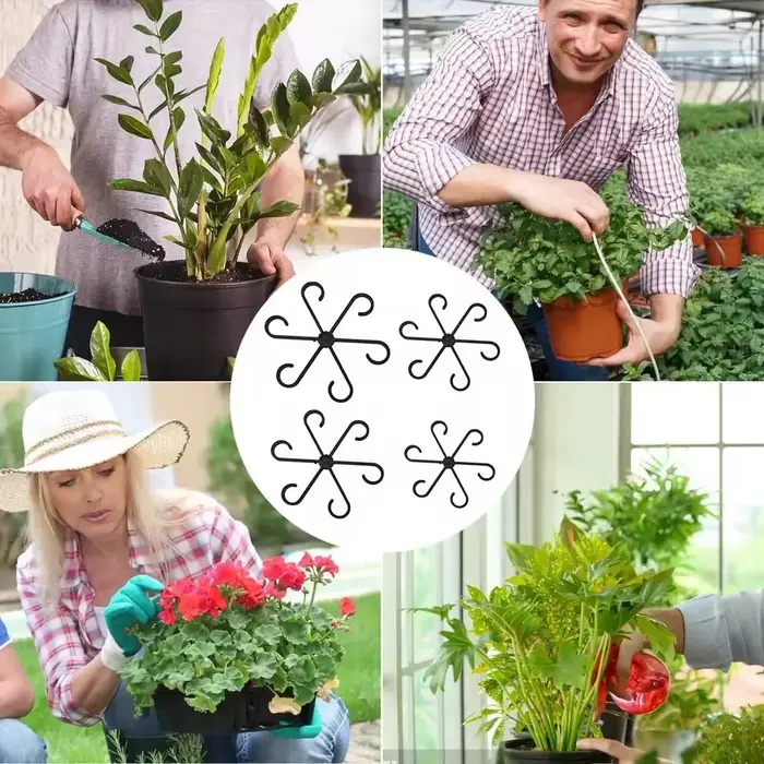 Supports de feuilles pour Alocasia et Monstera