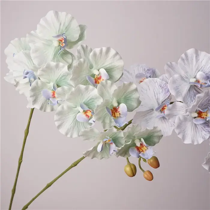 Fausses fleurs en film latex phalaenopsis