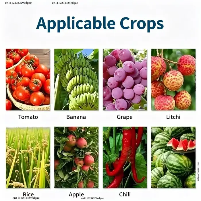 6-BA 6-Benzylaminopurine Cytokinine en poudre, régulateur de croissance des plantes, favorise la germination et la division cellulaire