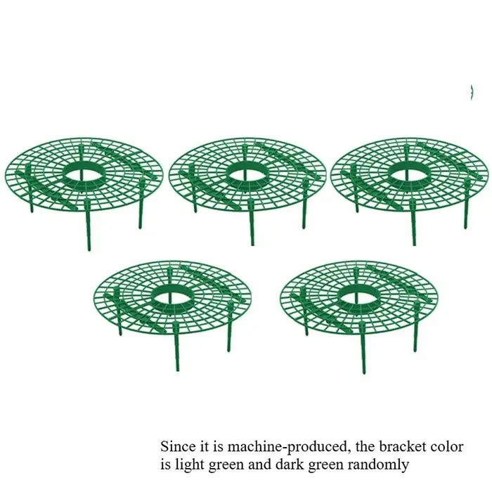 Support de plantation de fraises vertes, avec 3 supports robustes, plante polyvalente pour baies et 