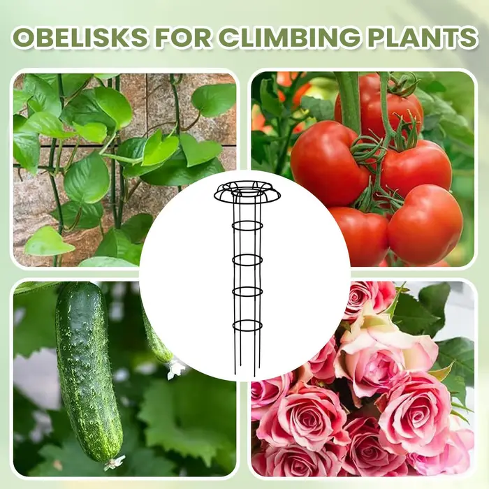 Treillis de jardin en forme de parapluie pour plantes grimpantes