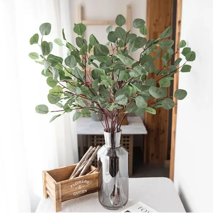 Feuilles d'eucalyptus vertes