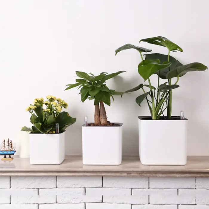 Pot de fleurs paresseux de 3 tailles