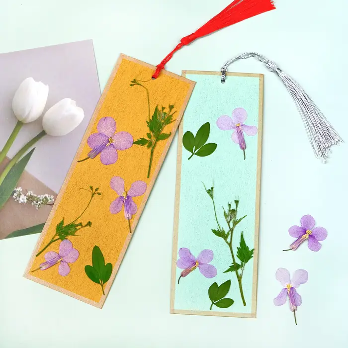 12 pièces, fleurs séchées pressées d'orchidées de février-spécimens