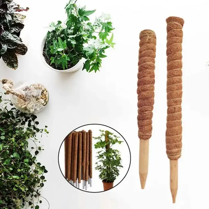 Poteau de soutien en fibre de coco pour plantes grimpantes