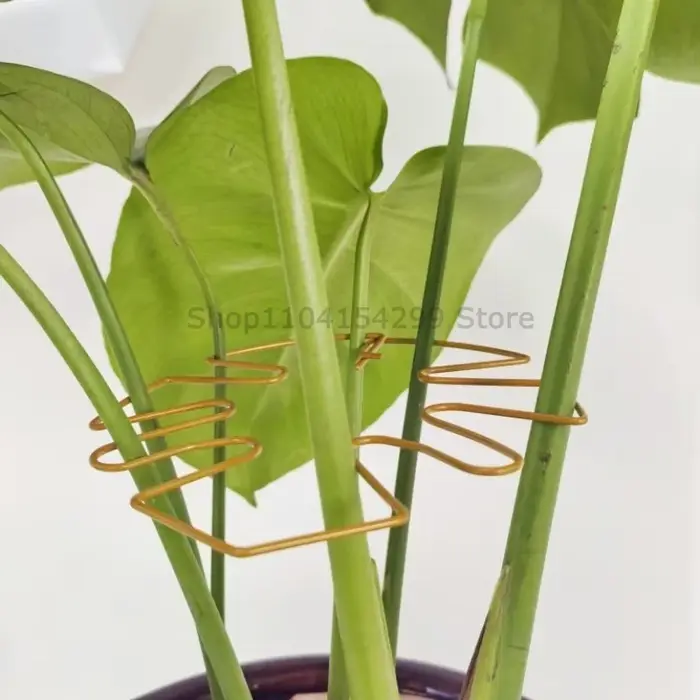 Supports de plantes réglables en métal pour tutorer les plantes