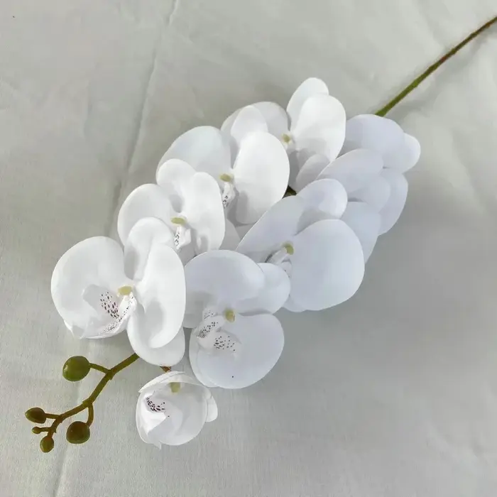 Orchidée française papillon artificielle pour la décoration de la maison