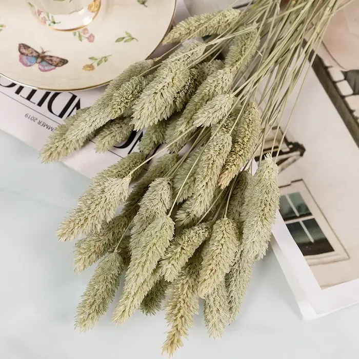 Bouquet de pierres précieuses de phaladditif séchées éternelles, décor de pampa moelleux naturel, fl