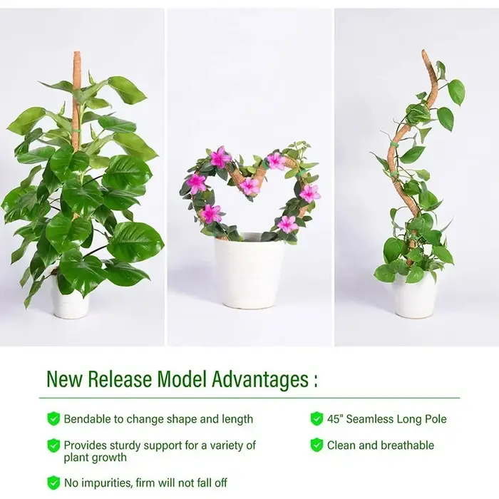 Plantes pliables Support d'escalade plante mousse coir pôle bas
