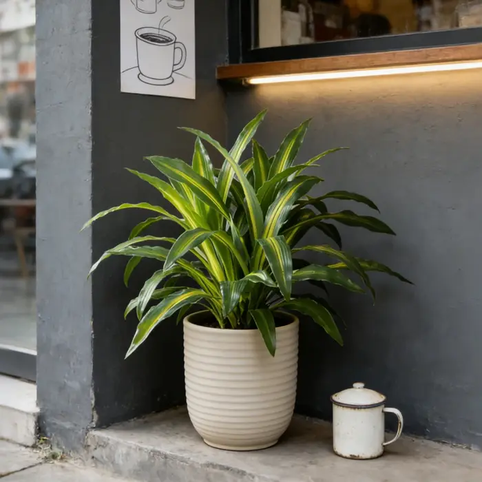Arbre artificiel Dracaena de 40 cm