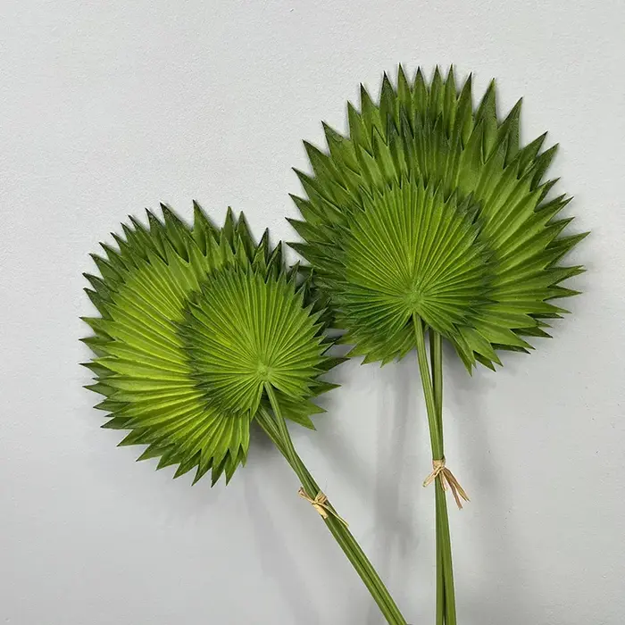 Feuilles de plantes artificielles pour décoration d'hôtel