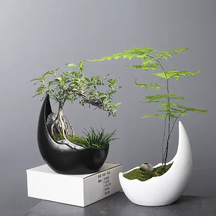 Pot de fleur en céramique en forme de corne de rhinocéros, pot de plante verte, jardinière succulent
