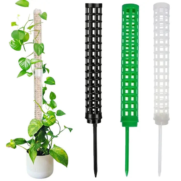 Colonne grimpante pour plantes